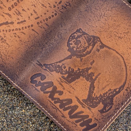 Обложка Медведь