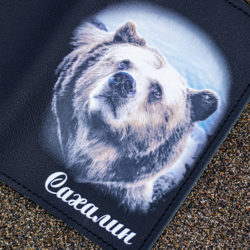 Обложка Медведь