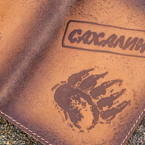 Обложка Лапа