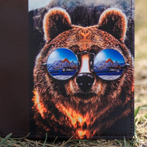 Обложка Медведь в очках